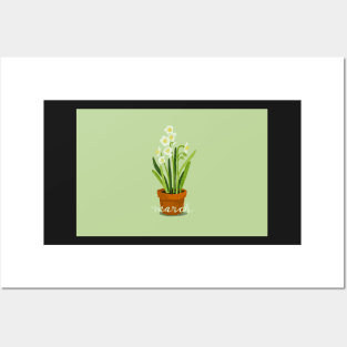 March Jonquil in a pot Posters and Art